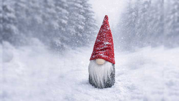 Liten tomte i vinterskogen