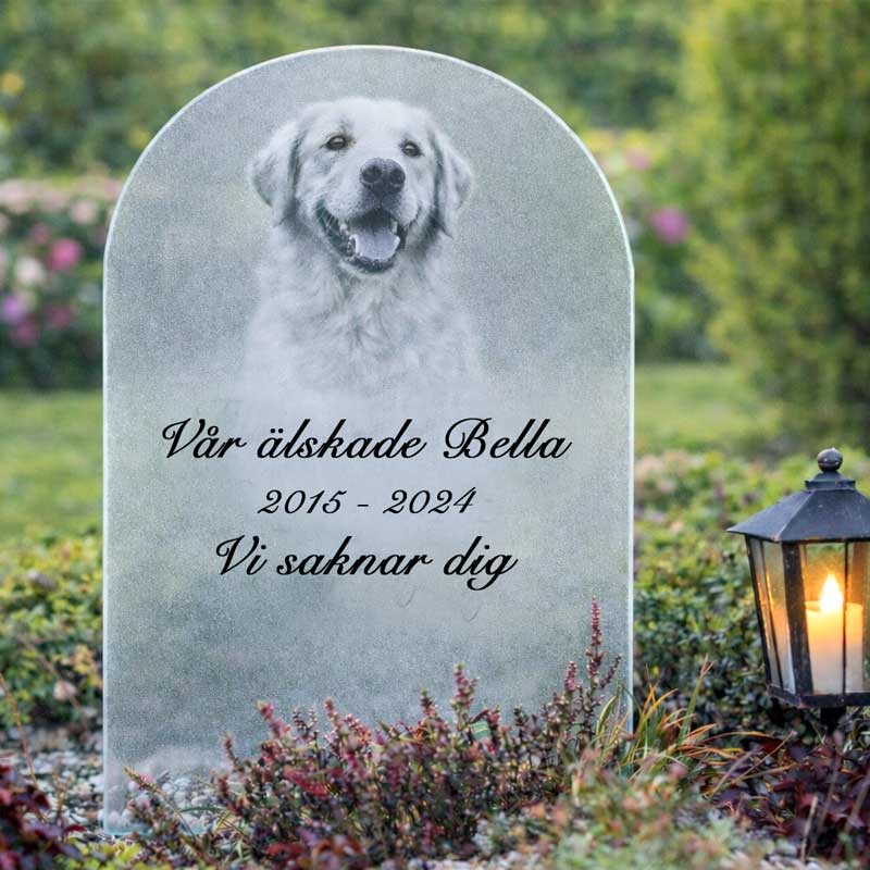 Gravsten för hund med bildmotiv