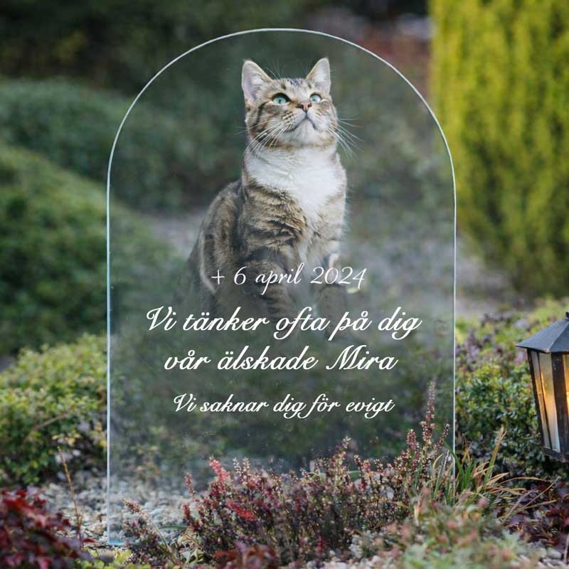 Gravsten för katt med bildmotiv
