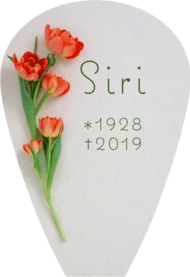 Gravsten i glas med eget motiv som har en droppformad radie