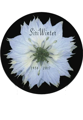 Gravsten i glas med form av en cirkel