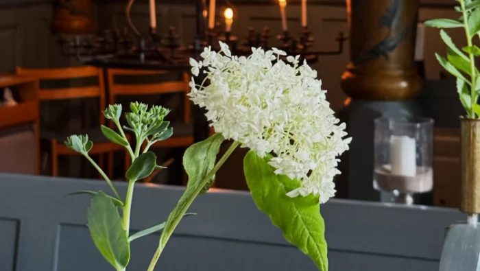 Blomma i en kyrka
